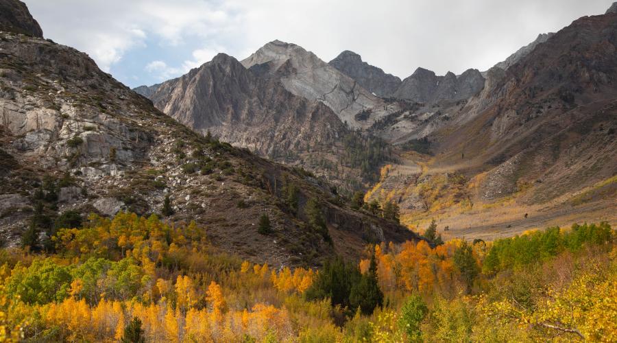10.8.24McGee Creek by Jeff Simpson with Mammoth Lakes Tourism