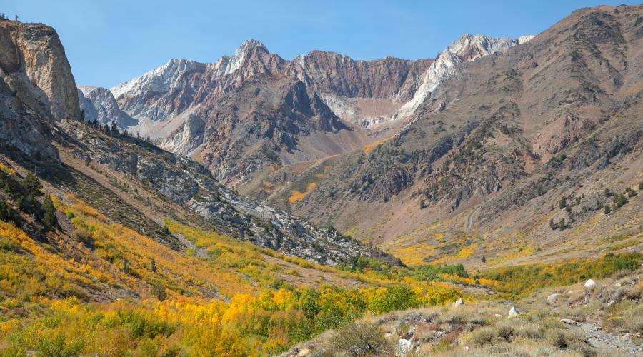 9.30.24 McGee Creek by Jeff Simpson with Mammoth Lakes Tourism