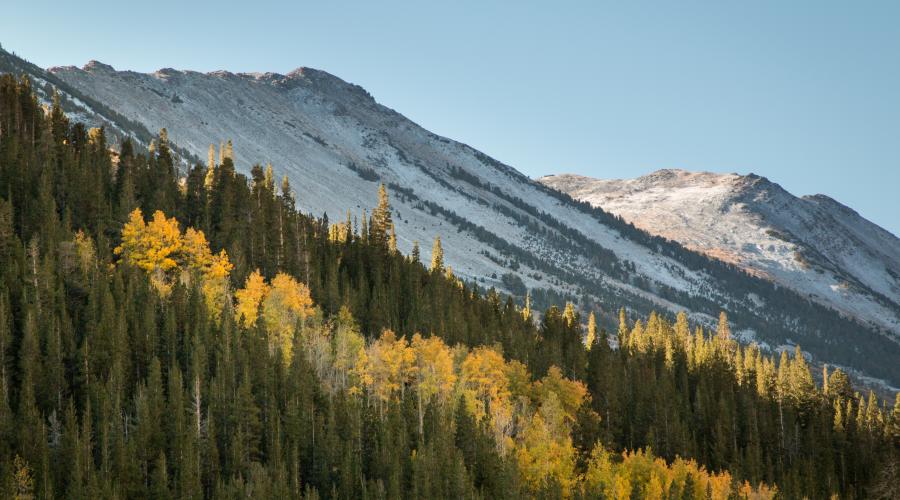 Molydbenite Canyon Trail Fall Colors