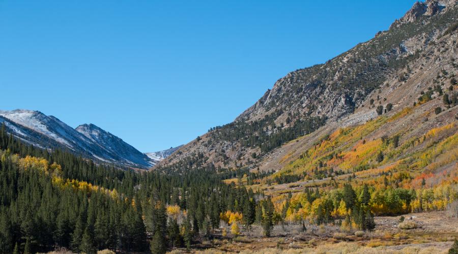 Molybdenite Canyon Trail Fall Colors