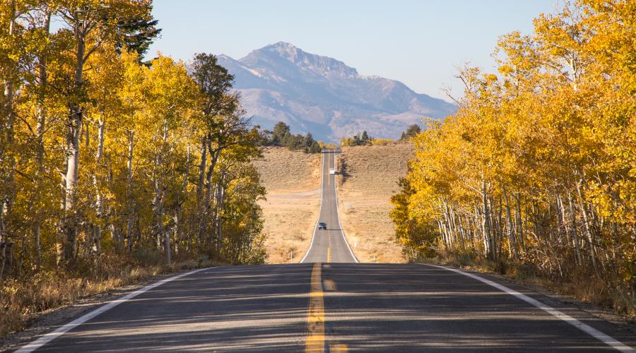 Monitor Pass Fall Colors