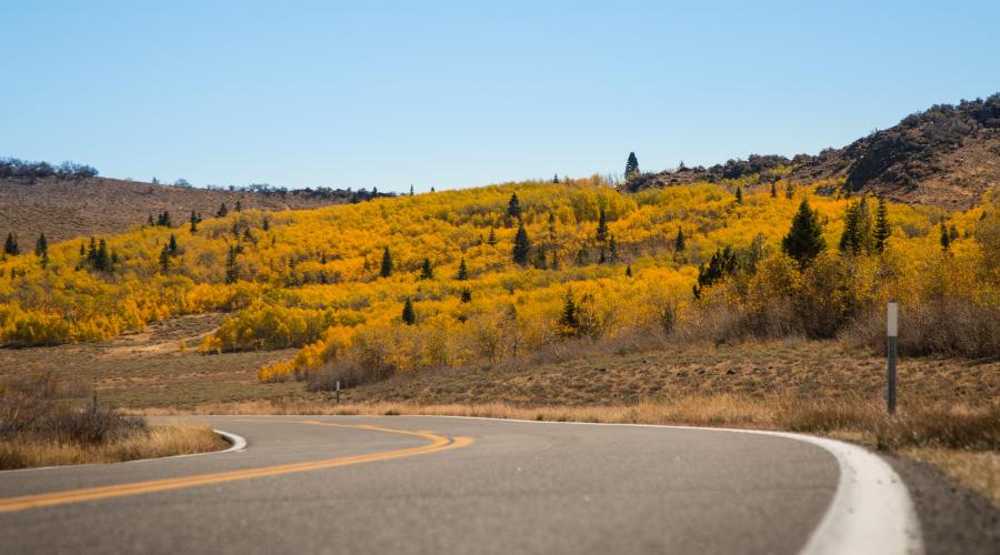 Monitor Pass road and fall colors