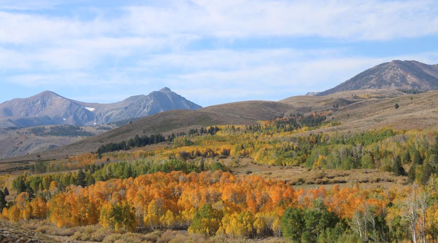 Colorful fall foliage on the hills of Conway Summit