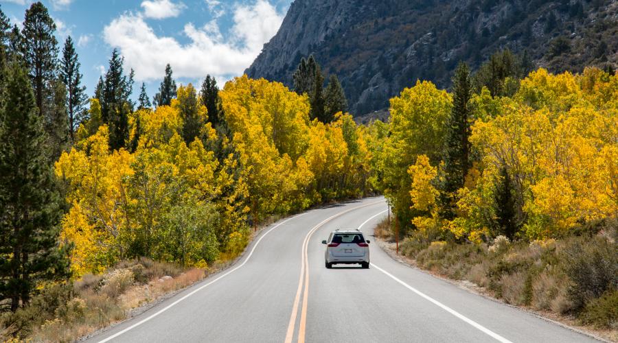 Rock Creek Road Fall Colors with Car