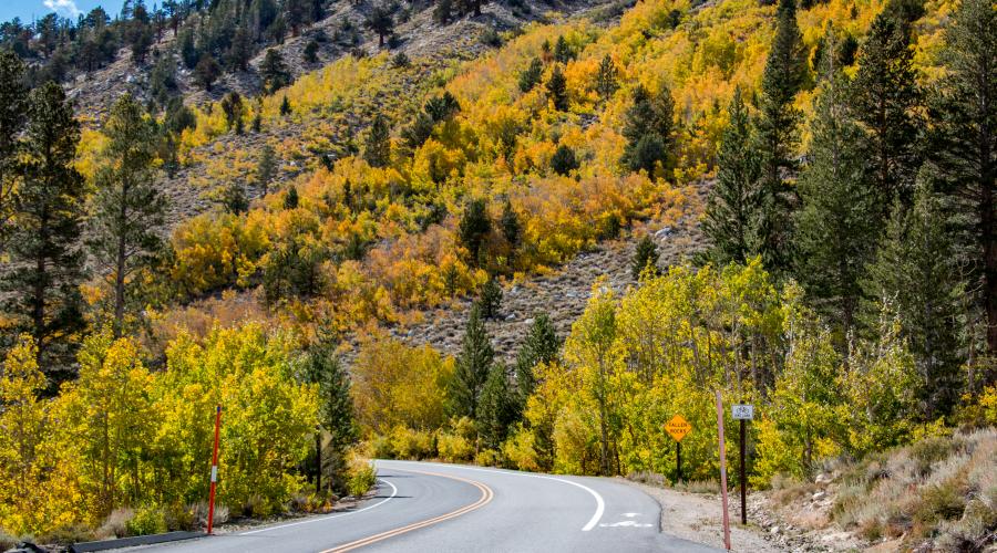 Rock Creek Road Fall Colors