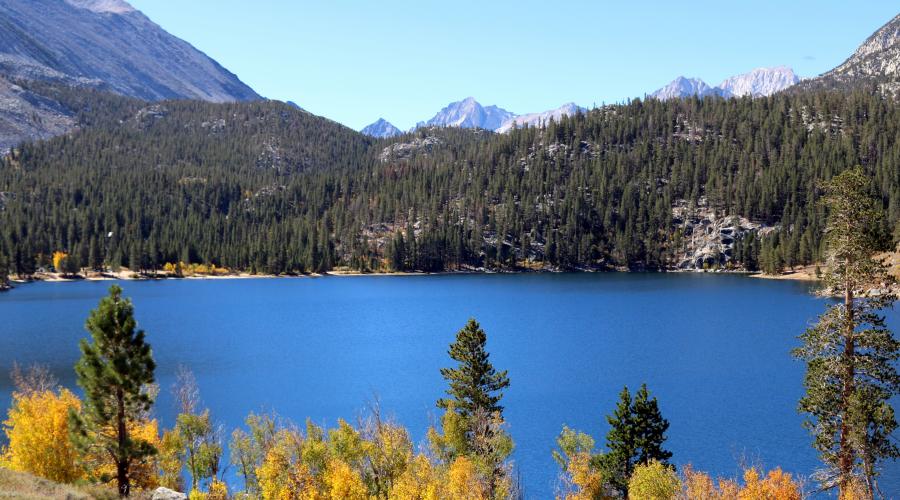 Rock Creek Lake Fall Color