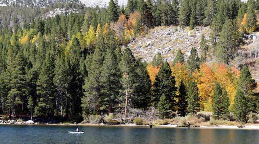 Rock Creek Lake Fall Colors