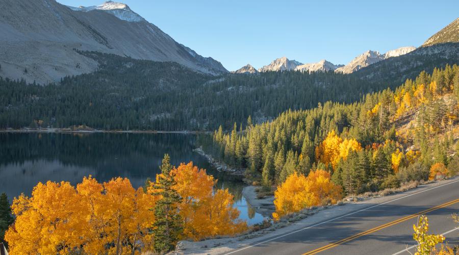 9.30.24 Rock Creek by Jeff Simpson with Mammoth Lakes Tourism