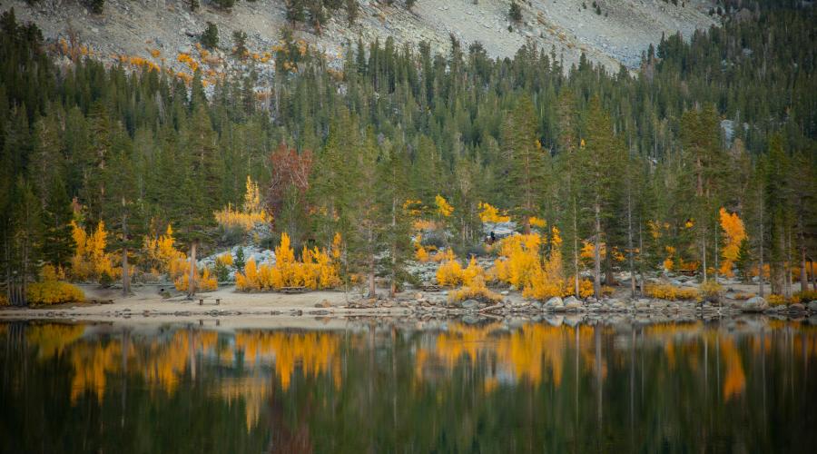 9.30.24 Rock Creek by Jeff Simpson with Mammoth Lakes Tourism