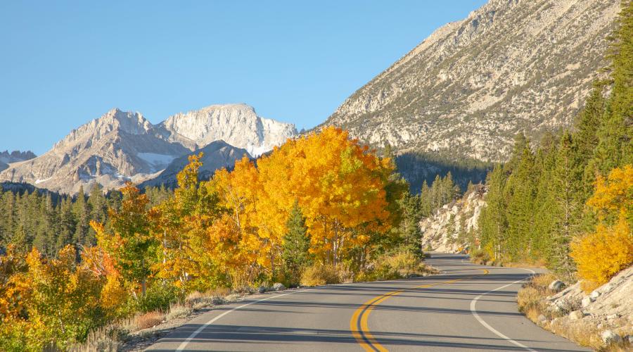 9.30.24 Rock Creek by Jeff Simpson with Mammoth Lakes Tourism