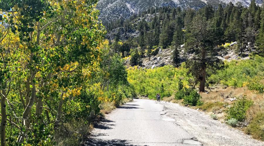 Upper Rock Creek Road