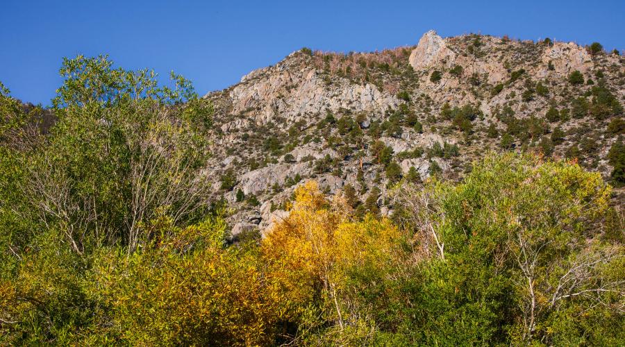 Rock Creek Fall Colors 9-11 _ Samantha Lindberg Photography-8