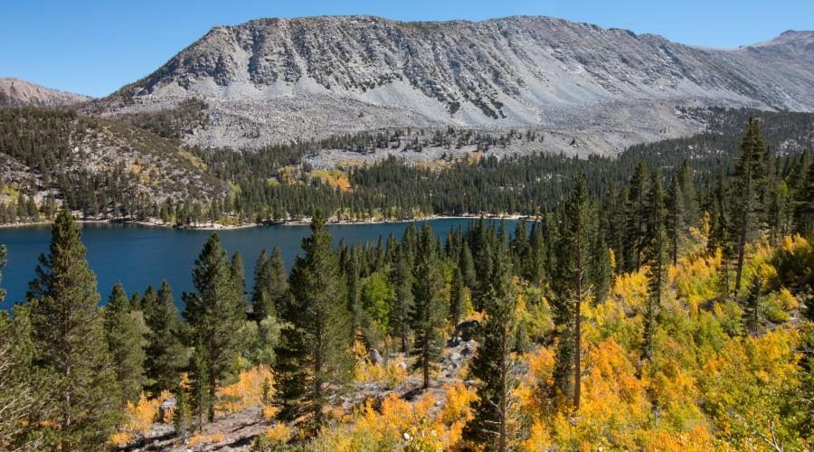 Rock Creek Lake Fall Colors