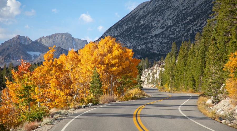 10.7.24 Rock Creek Road by Jeff Simpson with Mammoth Lakes Tourism