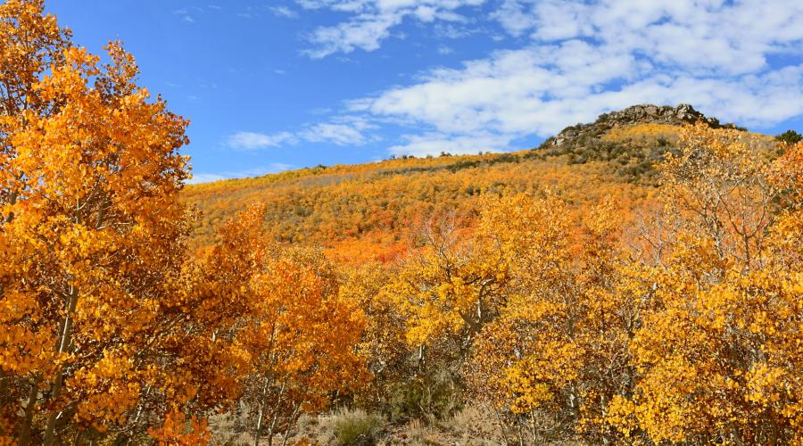 Sage Hen Summit 2 Fall Colors