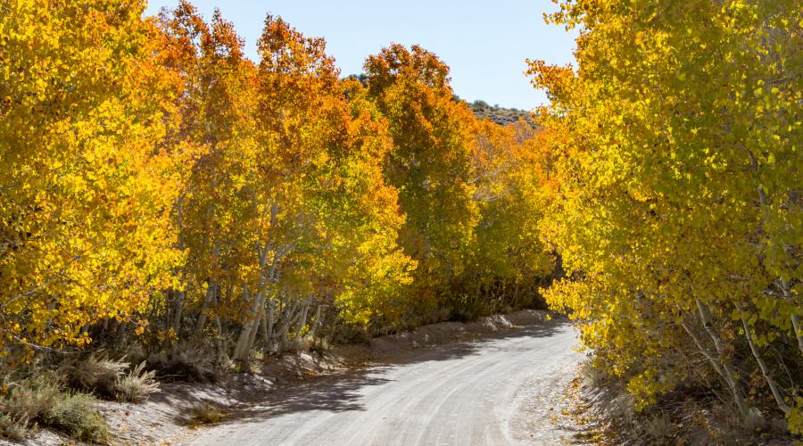 Sagehen Summit Dirt Road