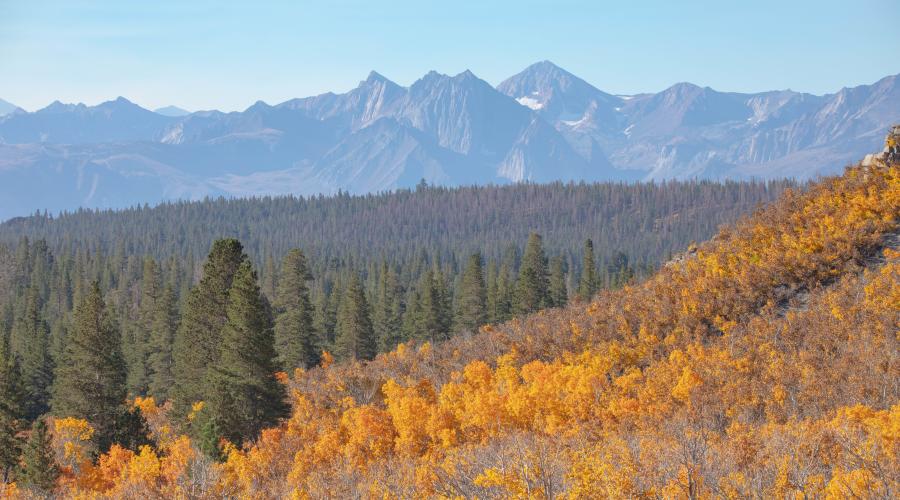 9.30.24 Sagehen Summit by Jeff Simpson with Mammoth Lakes Tourism