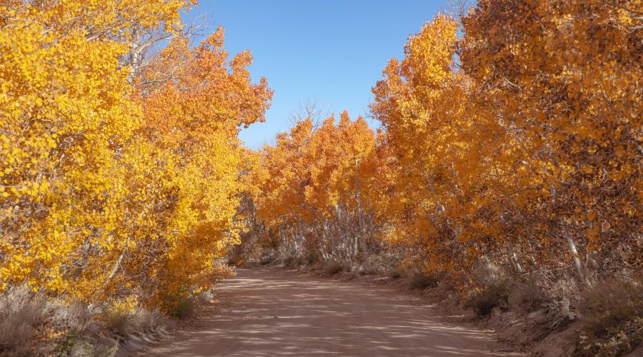 9.30.24 Sagehen Summit by Jeff Simpson with Mammoth Lakes Tourism