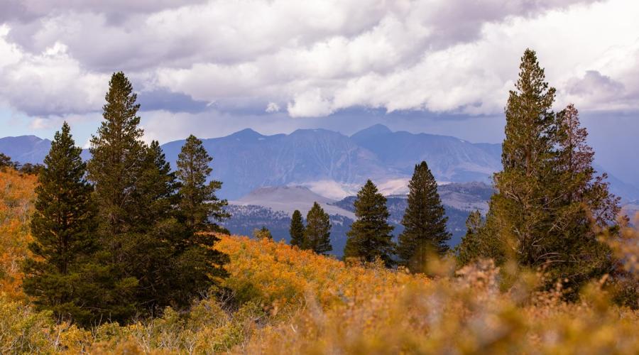 9.16.24 Sagehen Summit - Samantha Lindberg - Mammoth Lakes Tourism