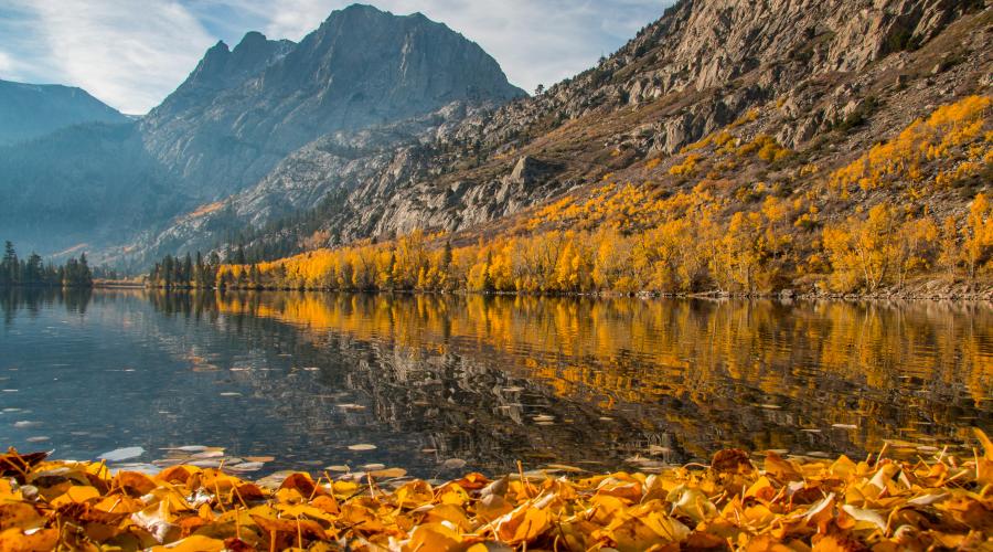 Silver Lake with leaves