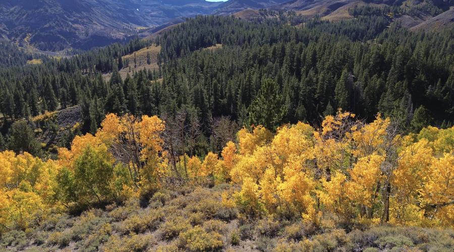 9.28.24 Sonora Pass by Berlin DelAguila with Mammoth Lakes Tourism