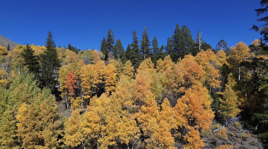 9.28.24 Sonora Pass by Berlin DelAguila with Mammoth Lakes Tourism