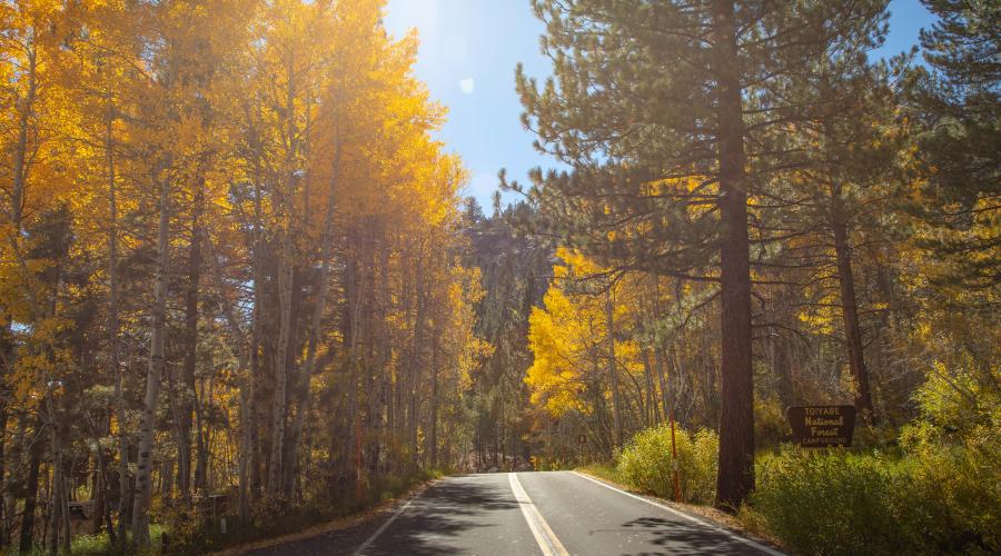 Sonora Pass