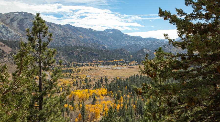 Sonora Pass and Leavitt Meadows