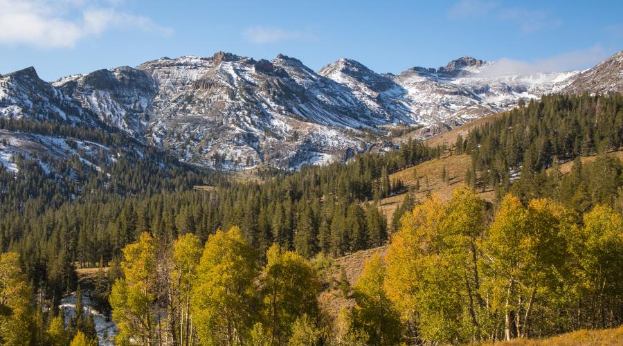 Sonora Pass with green Fall Colors