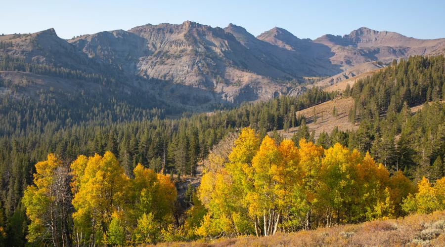 Sonora Pass