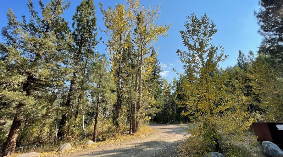 Leavitt Meadows Campground