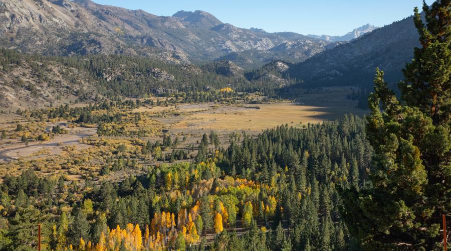 Sonora Pass Fall Colors