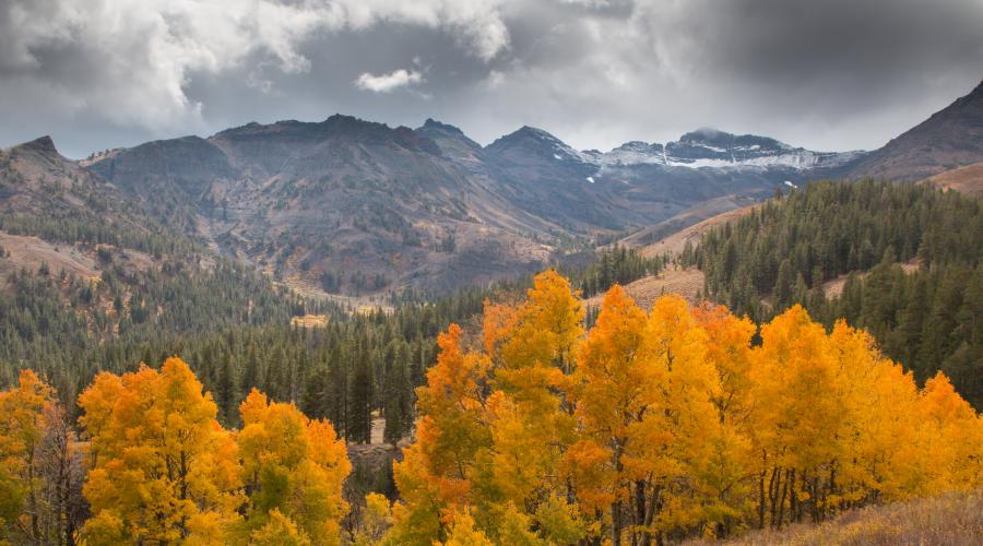 Sonora Pass Fall Colors