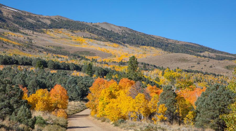 Summers Meadow Road