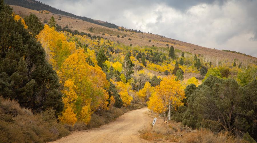 Summers Meadow Road