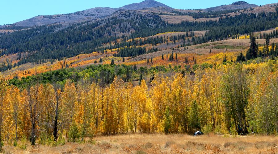 Summers Meadow Road Fall Colors