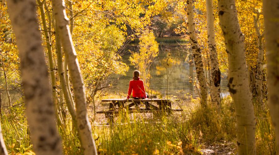 June Lake Loop