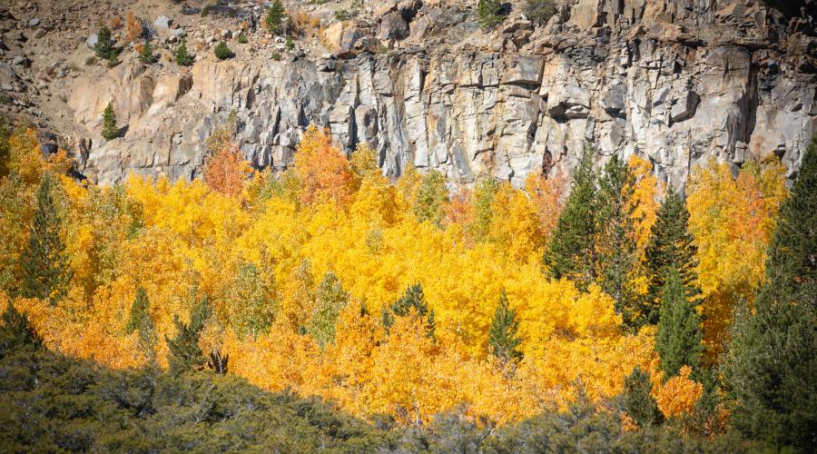 9.30.24 Tioga Pass by Jeff Simpson with Mammoth Lakes Tourism