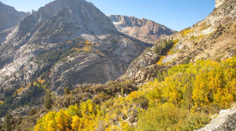 9.30.24 Tioga Pass by Jeff Simpson with Mammoth Lakes Tourism
