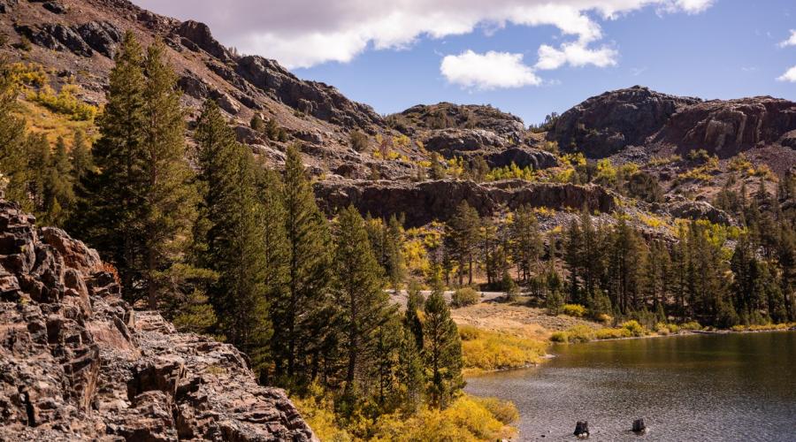 Tioga Pass Fall Colors (9-16-24) _ Photo Credit Samantha Lindberg -- Mammoth Lakes Tourism