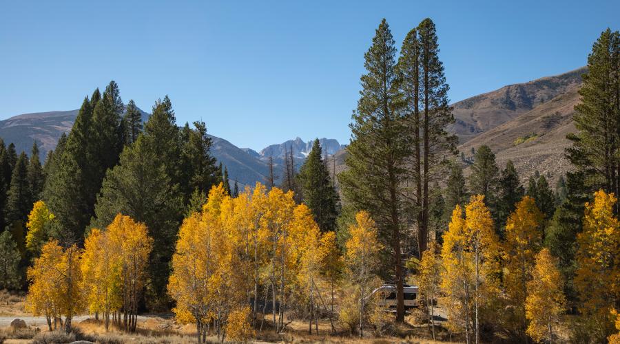 Huneymoon Flat Campground