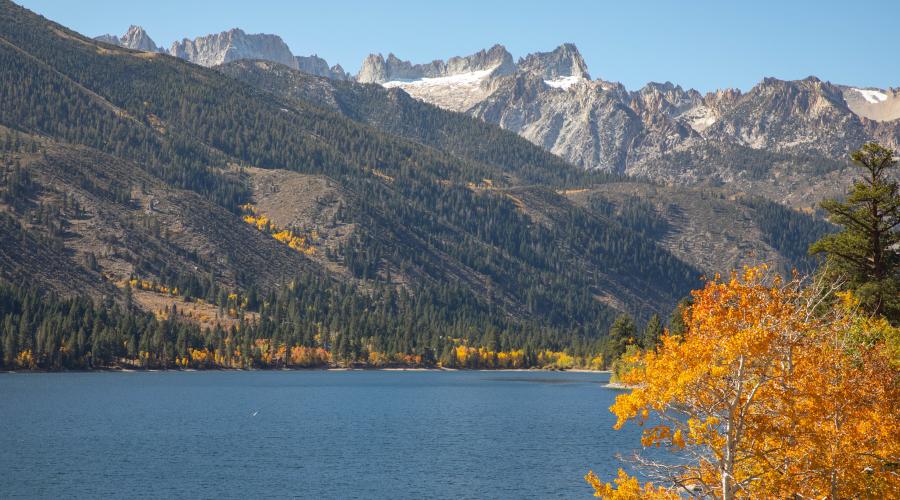 Twin Lakes Fall Color