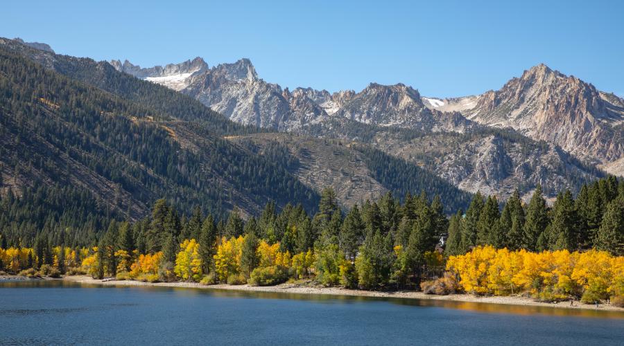 Twin Lakes Fall Colors