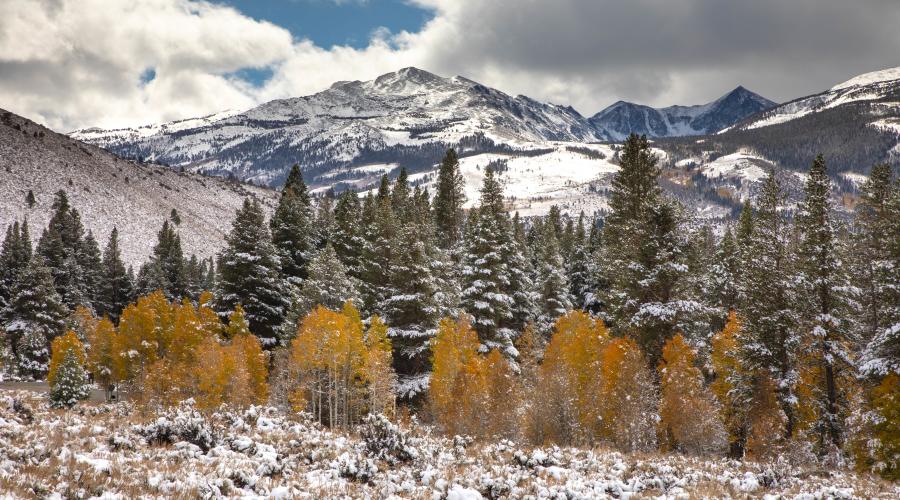 Twin Lakes Fall Colors