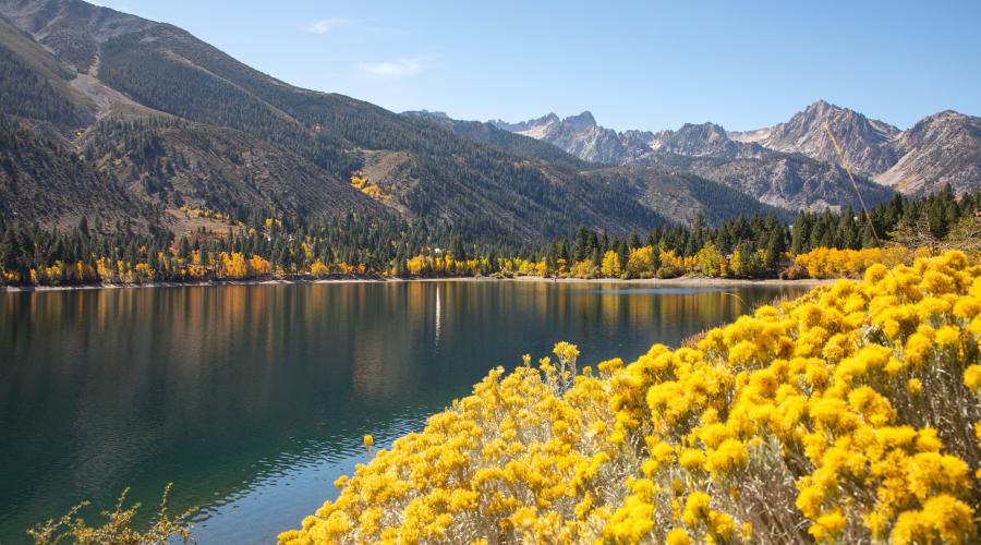 Twin Lakes with rabbit sage