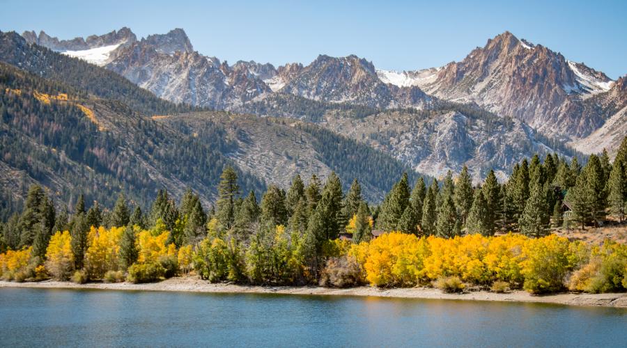 Twin Lakes lower view fall colors