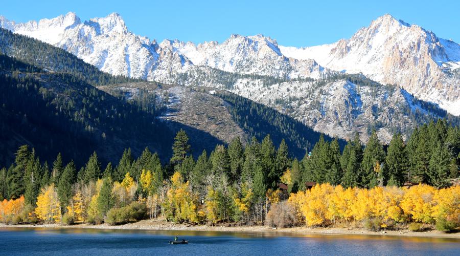 Twin Lakes Bridgeport Fall Colors 10/18/16