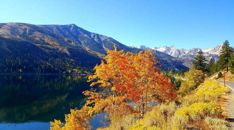 Twin Lakes Bridgeport 10/9/16 Fall Colors