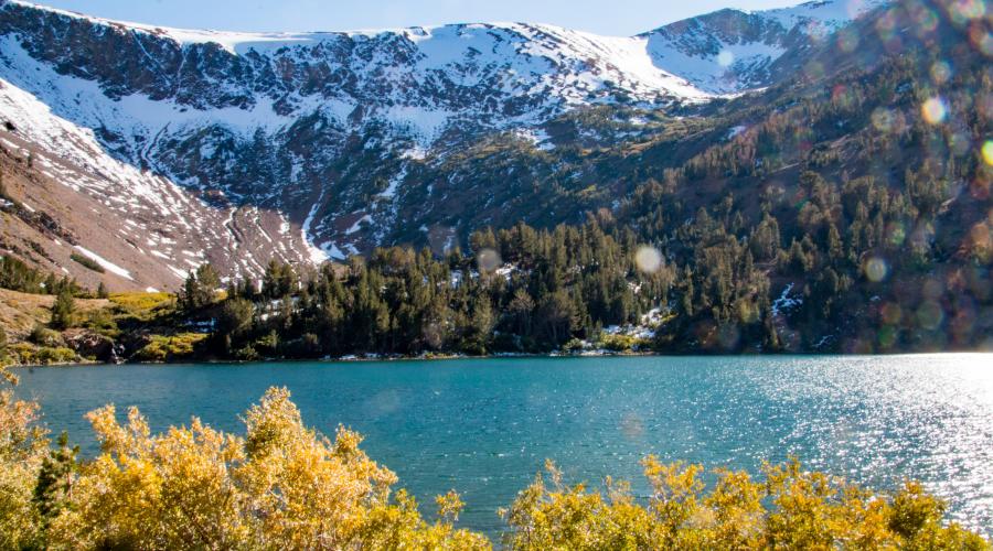 Virginia Lakes Fall Color