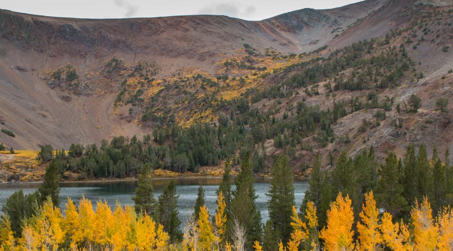 Virginia Lakes Peaking fall colors